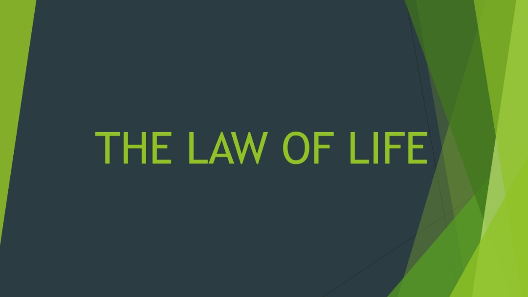 THE LAW OF LIFE